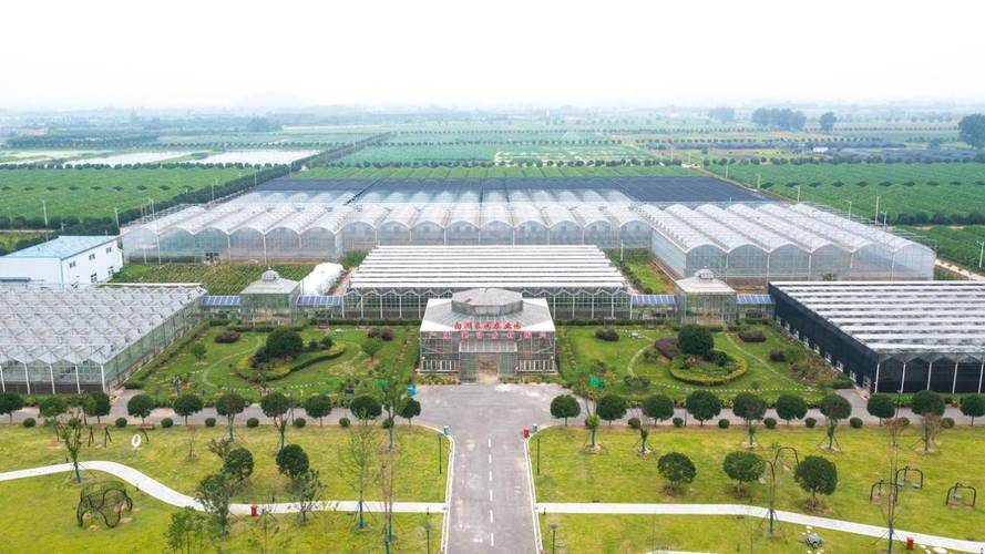 产业根基扎实与市场主体集聚背景下市场主体登记注册代理的角色与规范