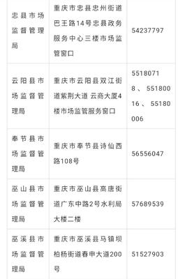 线上办理便捷高效 重庆市场主体登记注册代理服务助力抗疫发展